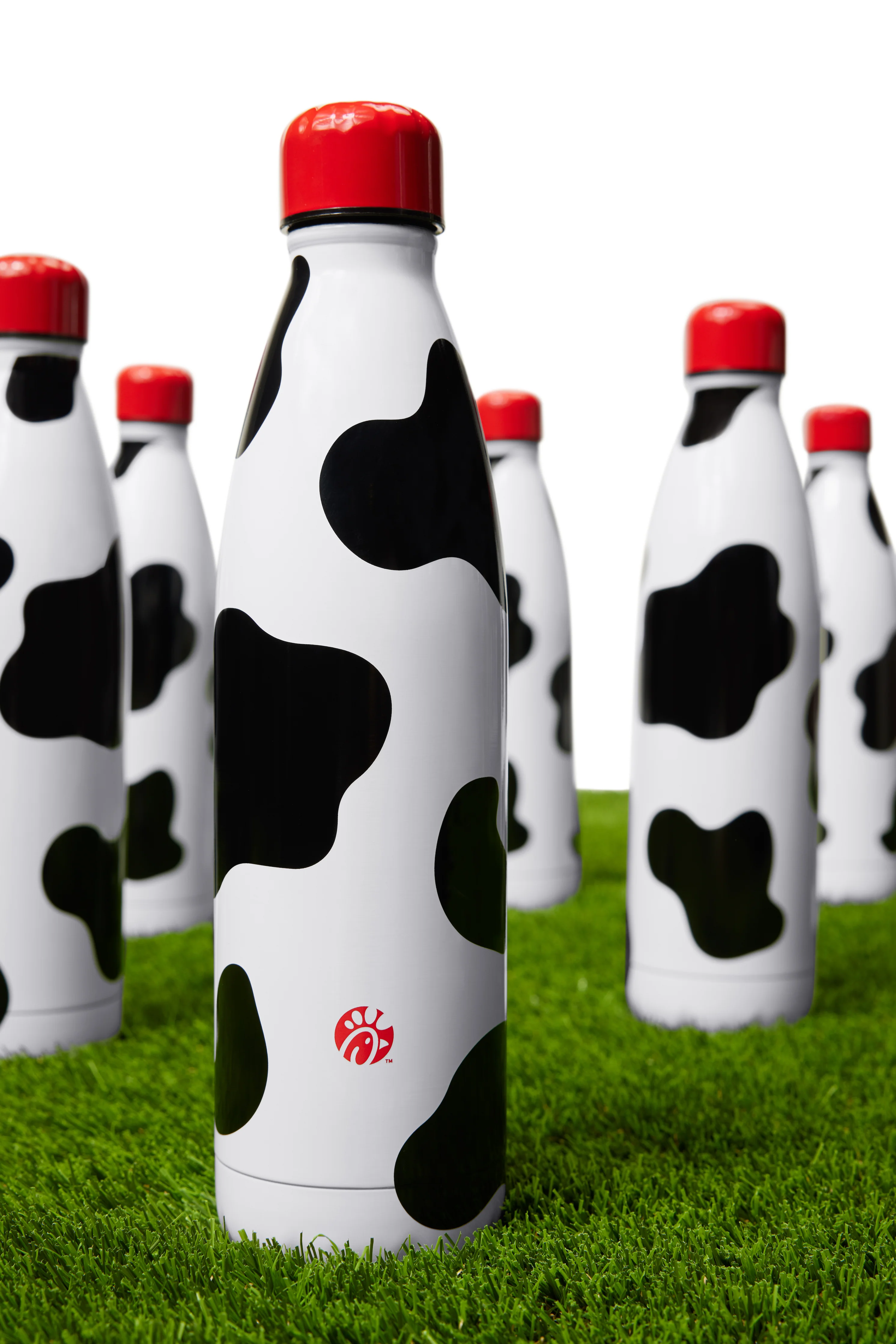 Insulated Water Bottle - Image 3
